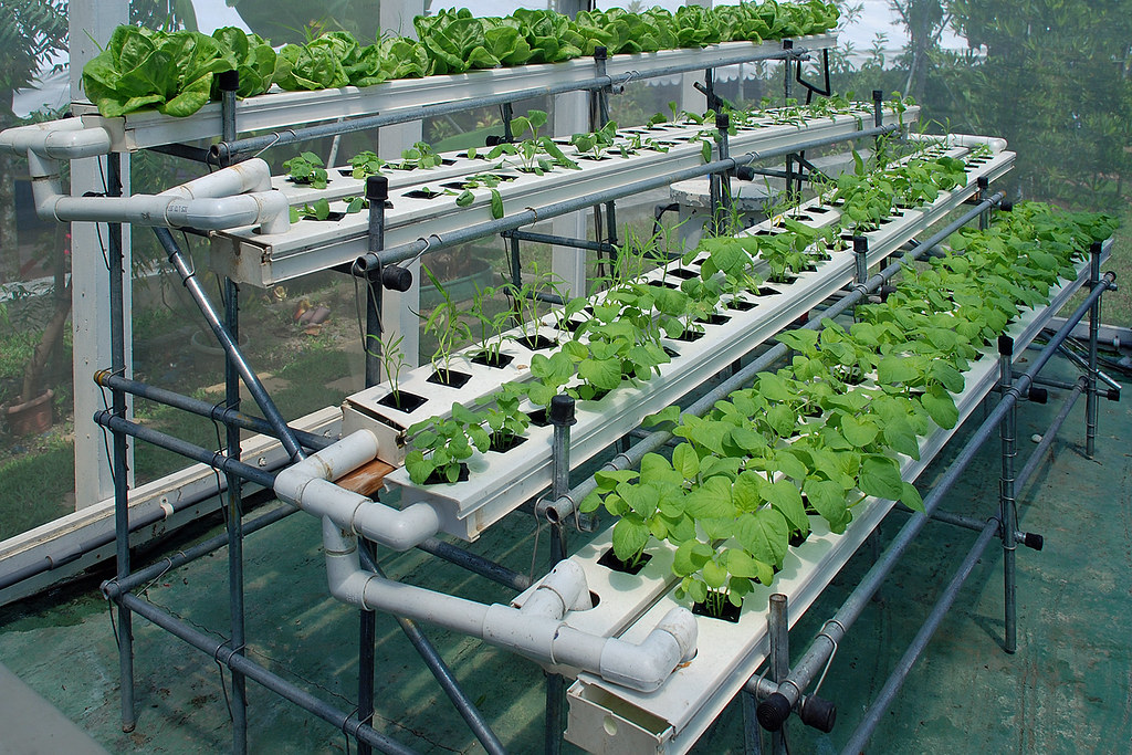 hydrophonics