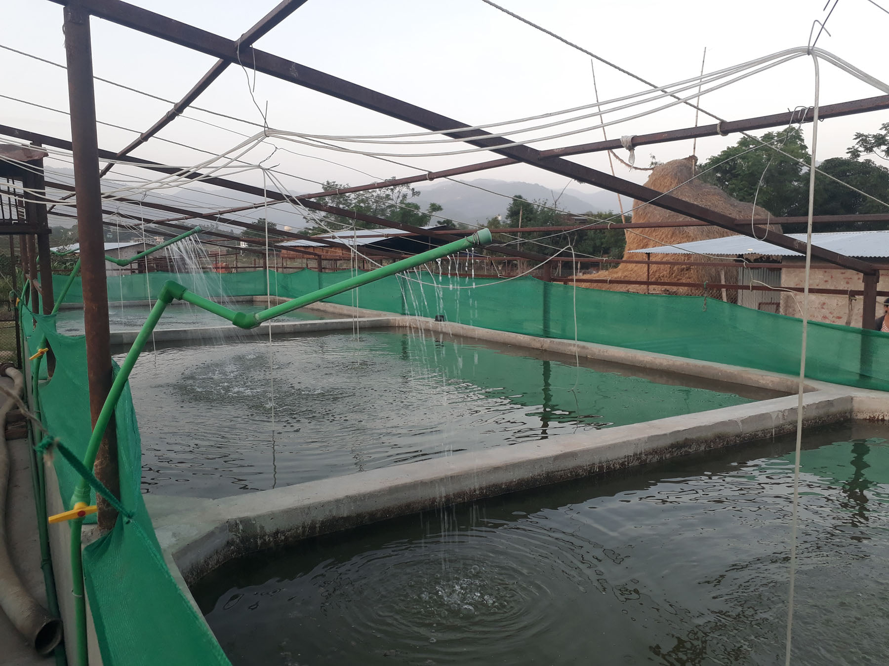 fishfarming