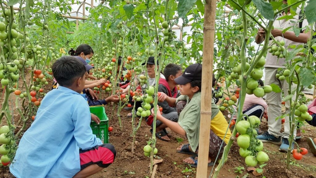 कृषी बिद्यार्थी