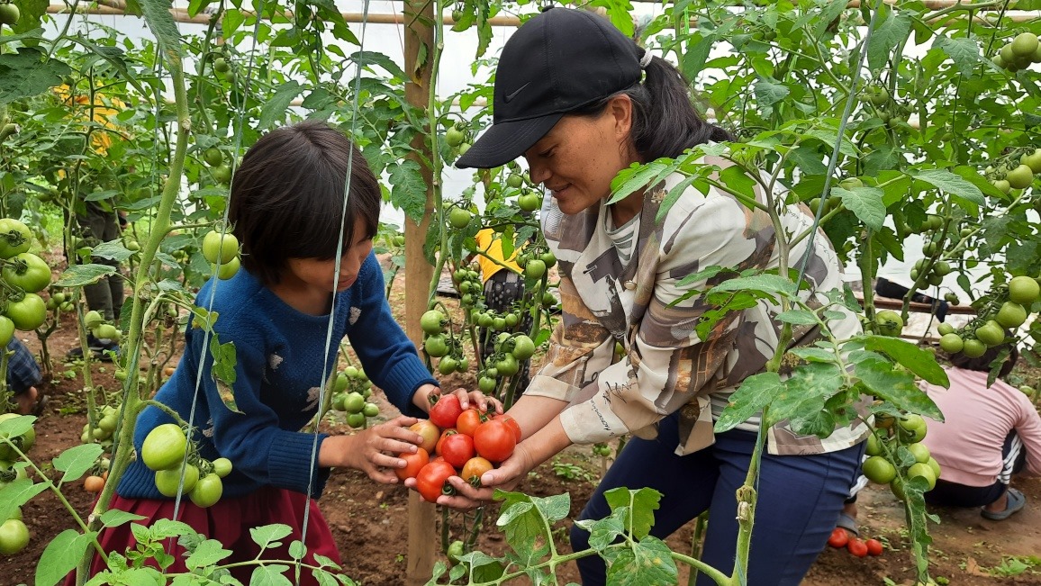 कृषी बिद्यार्थी