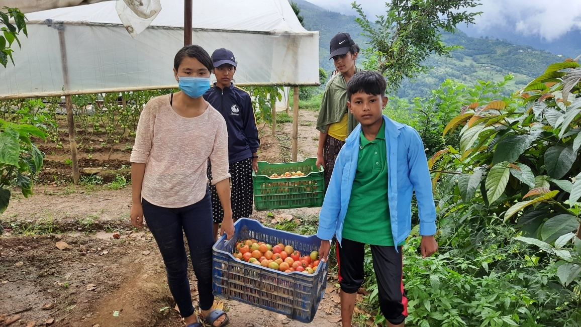 कृषी बिद्यार्थी