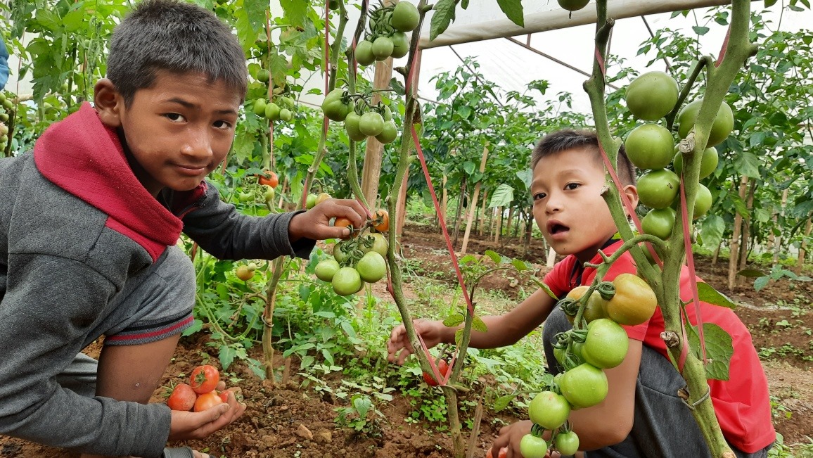 कृषी बिद्यार्थी