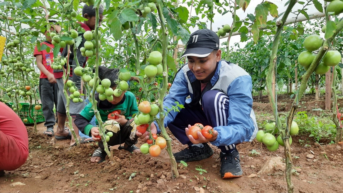 कृषी बिद्यार्थी