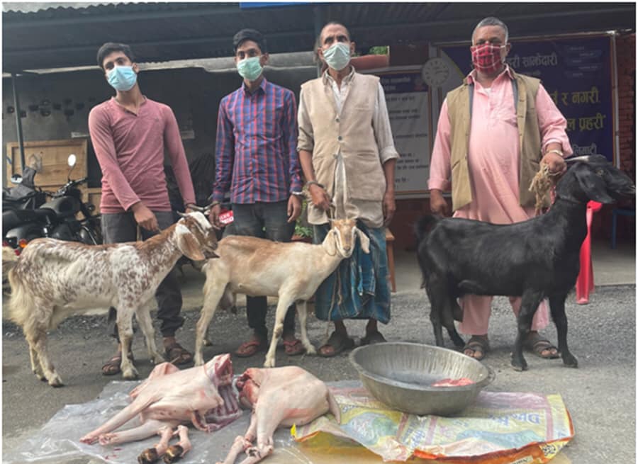 बाख्रीको मासु बिक्री