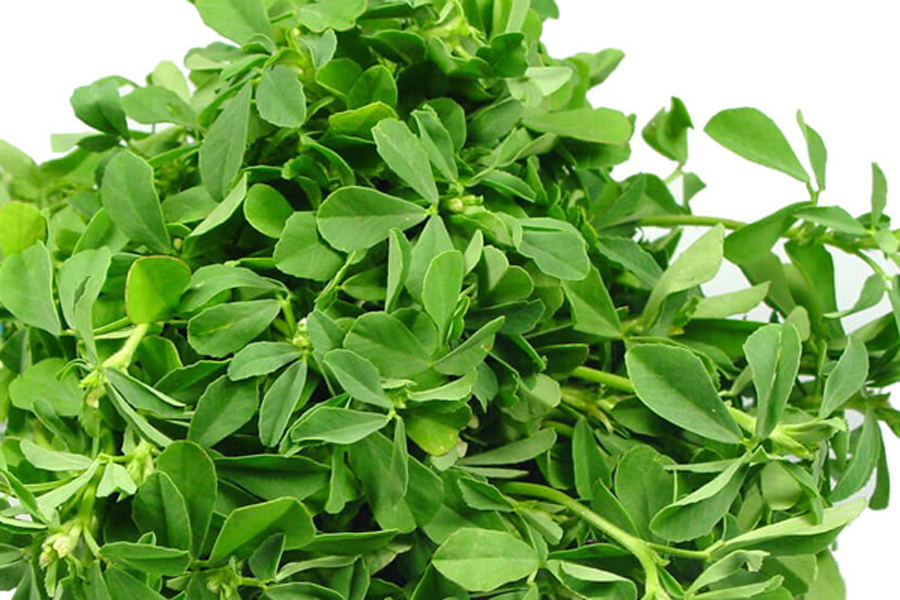 मेथीको साग