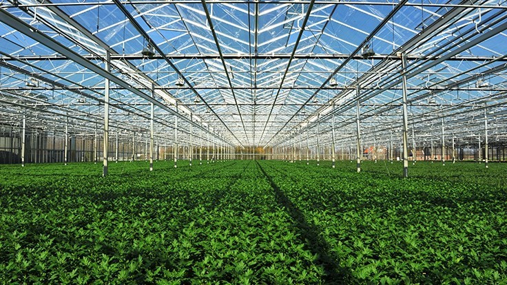 ग्रीन हाउस