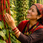 बाँदरको आतङ्कबाट अब पाइनेछ पूर्ण मुक्ति: बारीमा ‘मरिच’ रोपेर ढुक्क हुनुहोस्