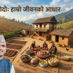 रैथाने माटोको सुगन्ध बोकेको ‘कोदे’ को चित्तदुखाइ: अर्बौँको आयात र हराउँदै गरेका मेरा भाइ-खलक