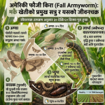 मकै खेतीमा अमेरिकी फौजी किराको आतङ्क: अण्डा, लार्भा र वयस्क अवस्थामै यसलाई तहसनहस पार्ने प्रभावकारी र व्यावहारिक विधिहरू