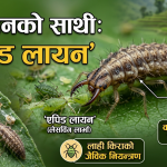 विषादीको बढ्दो खर्च र घट्दो उत्पादनबाट चिन्तित हुनुहुन्छ ? चिन्नुहोस् खेतबारीको निःशुल्क काम गर्ने ‘लाही खाने बाघ’ लाई