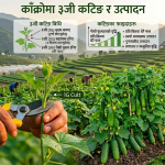 ३जी (3G) कटिङ प्रविधि: थोरै लगानीमा तेब्बर उत्पादन लिने तरिका