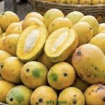 बजारमा सिजनअघि नै ‘विषादी’ हालेर पकाइएको आँपको बिगबिगी: स्वास्थ्यमा गम्भीर जोखिम