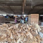 भेनियर उत्पादनसँगै स्थानीय रोजगारी बढाउँदै सुनौलो प्लाइ उद्योग