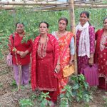 बागलुङका महिला तरकारी खेतीबाट आत्मनिर्भर बन्दै: एकै वर्षमा ३० लाखको कारोबार
